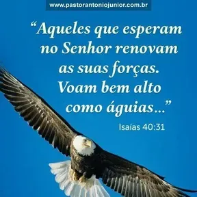 WEB RÁDIO ALIANÇA