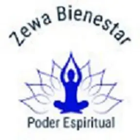 Zewa On Line