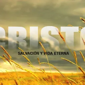 Emisora Cristiana Arca De Salvacion