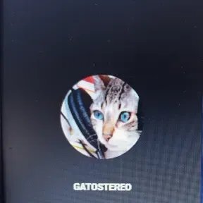 Gatostereo