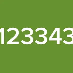 123343
