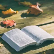 Evangelio según Juan capítulo 5