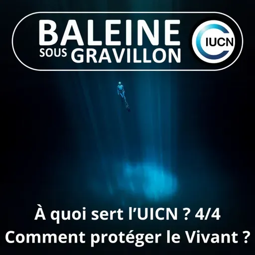 S07E46 C'est quoi l'UICN ? 4/4 : Ma nuit chez Maud... Lelièvre (présidente du comité français de l'UICN)