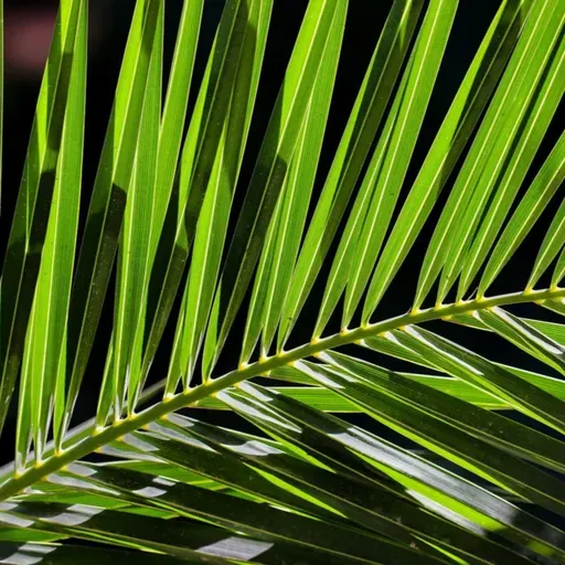 O EVANGELHO SEGUNDO O ESPIRITISMO