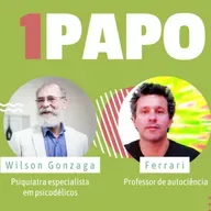 1PAPO | Wilson Gonzaga | 1FICINA | Autociência