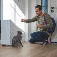 Kediler Bazı Aile Üyelerine Farklı Davranıyor