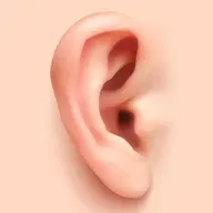 Dona Claudine e a orelha impressa