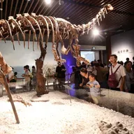 Museum fever for summer vacation