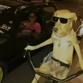 VallenatoSamp