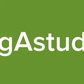 MgAstudio