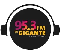 La Gigante (Piedras Negras) - 95.3 FM - XHGN-FM - Piedras Negras, Veracruz