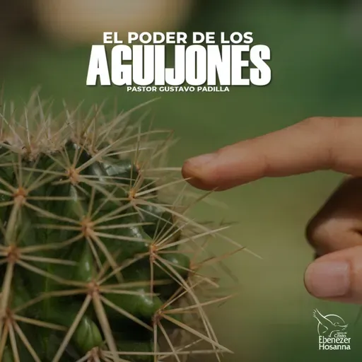 El Poder de los Aguijones
