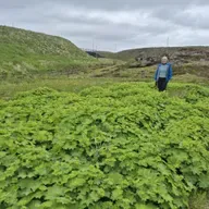 Við Tórði á skørutúri