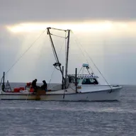 Will a historic sewage spill undo the Chesapeake Bay's restoration?