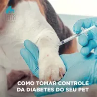 #58: Como Tomar Controle da Diabetes do seu Pet