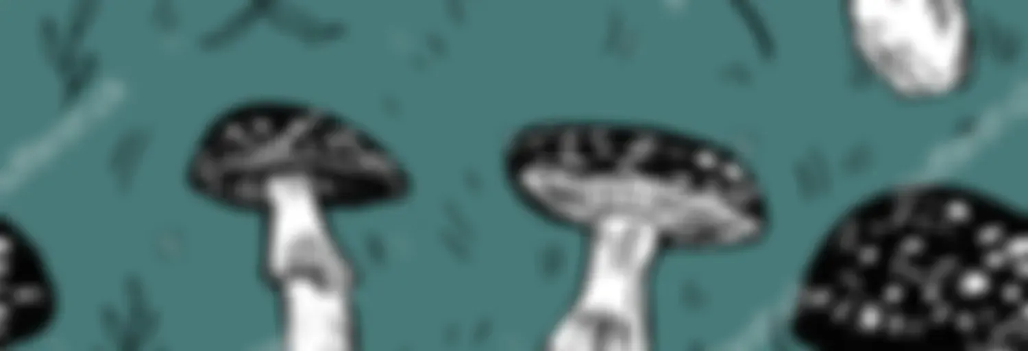 Tudo sobre música desporto e mundo dos famosos