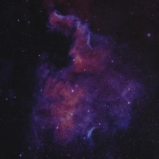 Spatial Dislocation – Panspermia