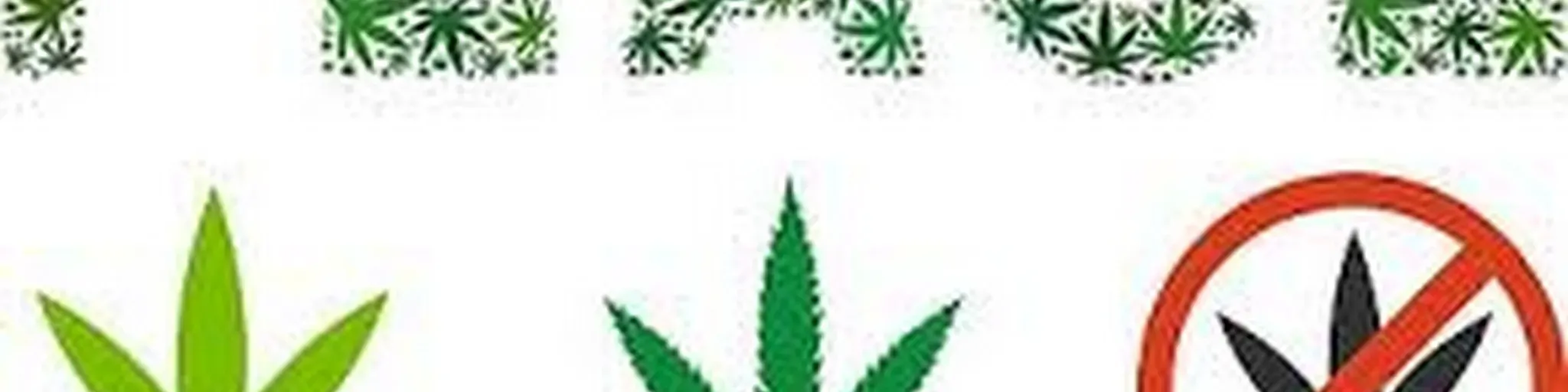 Hashish