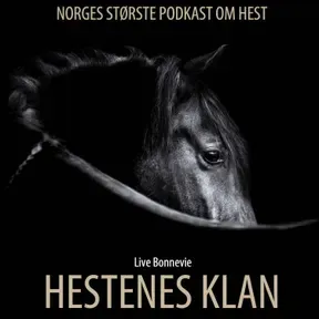 HESTENES KLAN