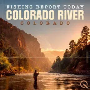 Colorado River Colorado Fishing Report Today