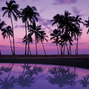 BahamaMamas