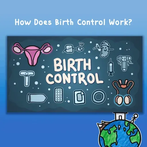 How Does Birth Control Work?