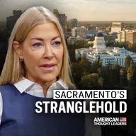 I Talked to 50 California Mayors. What They Told Me Was Surprising | Elaine Culotti