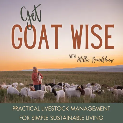 83 | How to Build a Confinement Goat Fence that Keeps Goats Inside and Predators Out and Do It with Limited Equipment