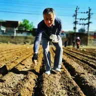 Yang Baoxin: The man who has made cotton strong