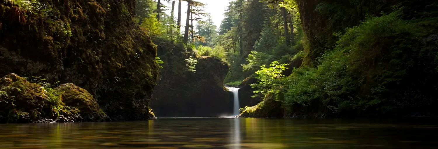 pop rock roberto fr marques