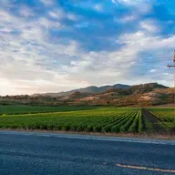 Feria bienal de negacionistas de los cuadros