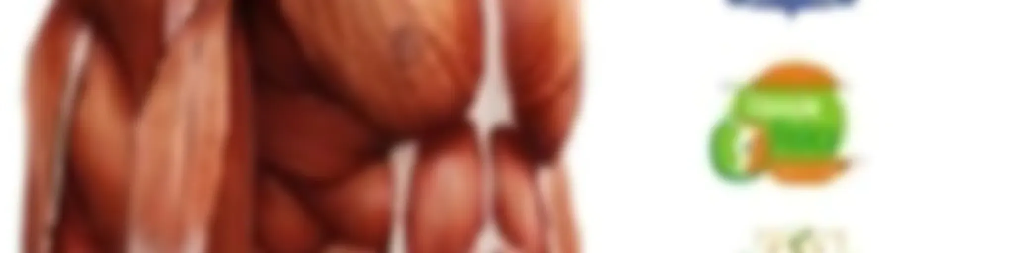 Educação Física em Áudio do Instituto Benjamin Constant (Prof. PhD. Hessel Marani Lima)