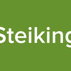 Steiking
