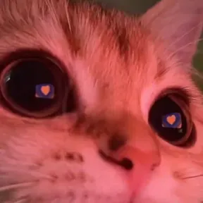 KKKKKKK