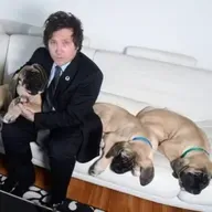 229 - Show and tell "Olor a perro"