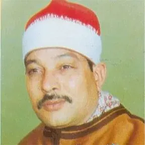 elsayedsaeed
