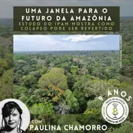 268 - Uma janela para o futuro da Amazônia: Estudo do IPAM mostra como colapso pode ser revertido