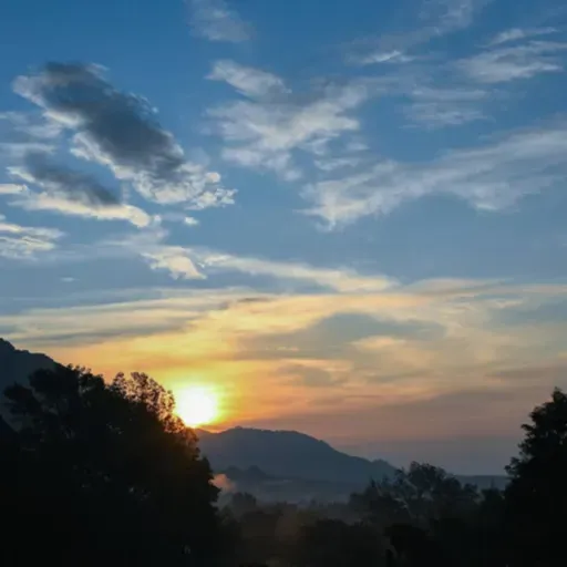 Cómo sobrevivir la mudanza