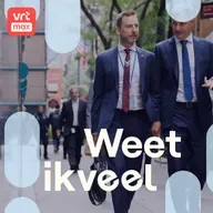 Woordvoerder in de Wetstraat