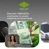 Decreto 48848/24: atualizações na caução ambiental em Minas Gerais
