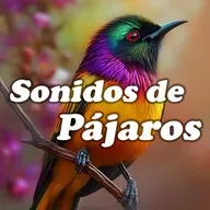 El Encanto de los Pájaros: Sonidos para una Mente Serena