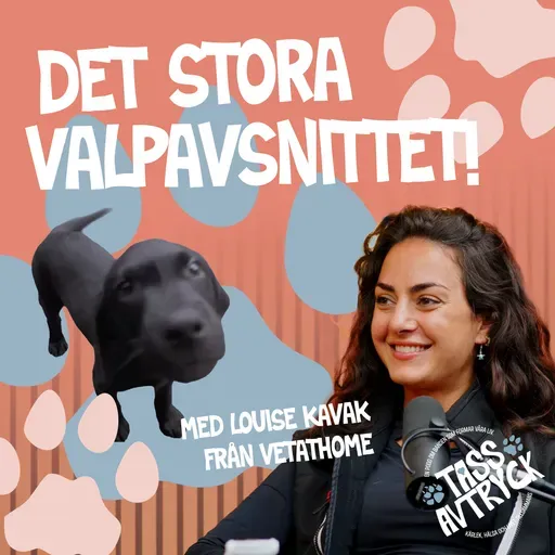 Annons från VAFO: Det stora valpavsnittet - med veterinären Louise Kavak