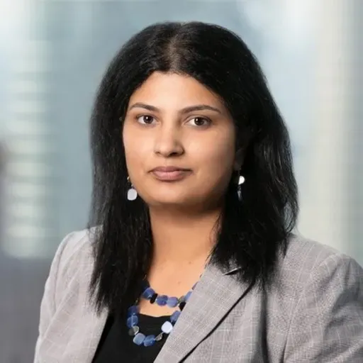 Priya Keshav: Chief Executive Officer at Meru Data