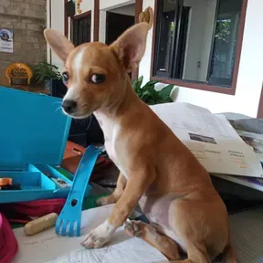Prueba