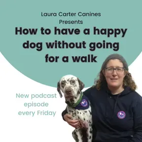 How to have a happy dog without going for a walk