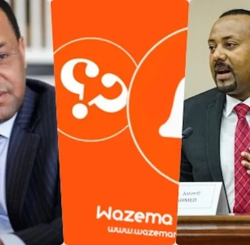 መንግስት የውጪ ባንኮች ለምን ማስገባት ፈለገ?