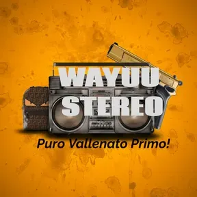 WAYUU ESTEREO