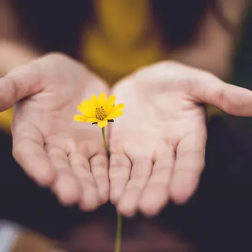 Brīvprātīgā darba veicēju palīdzība ir nepieciešama daudzās jomās