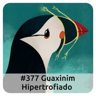 E377 Guaxinim Hipertrofiado