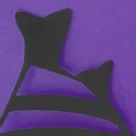 Fuego II - expedicion